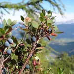 Apartamento Ausserraingut Flachau