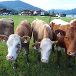 Ausserraingut