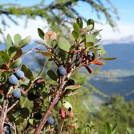 Appartamento Ausserraingut Flachau