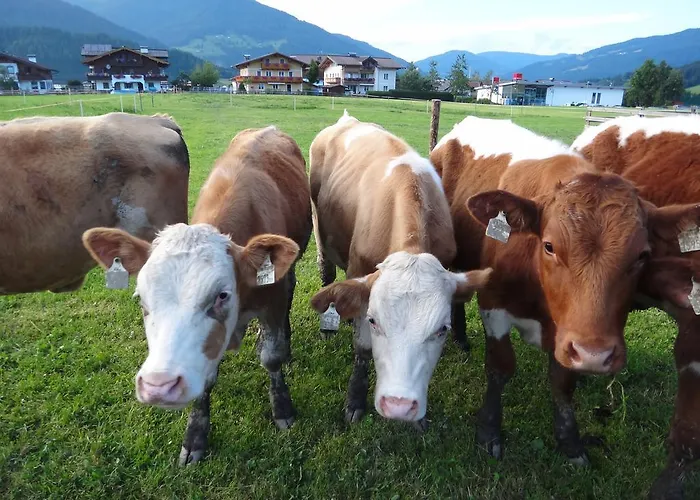 Ausserraingut