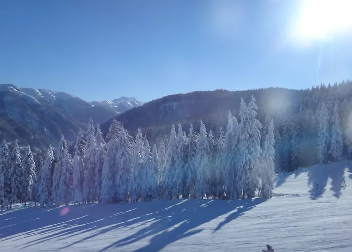 Appartement Ausserraingut Flachau